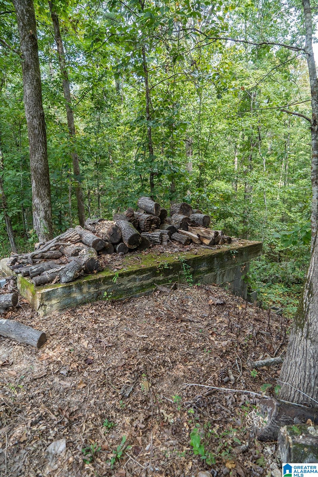 880 County Road 195 Clanton, AL 35046 - Photo 10 of 41