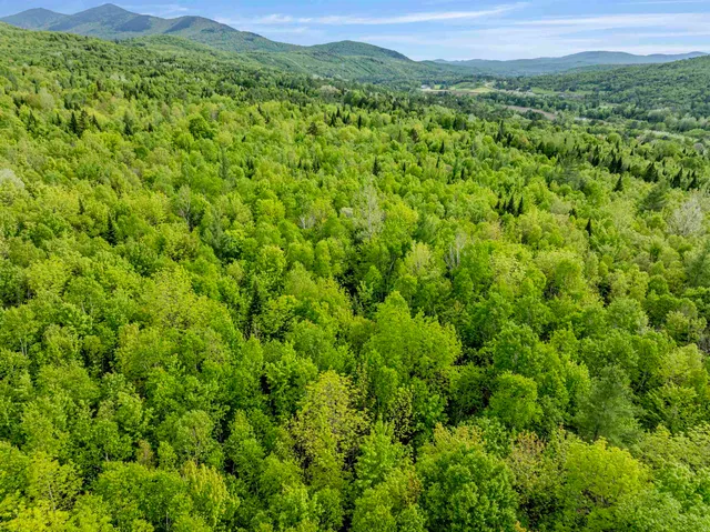 $79,500 | Lot 9 Off Us Route 3, North Stratford, NH 03590