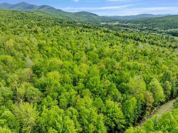 $79,500 | Lot 9 Colburn Drive, North Stratford, NH 03590