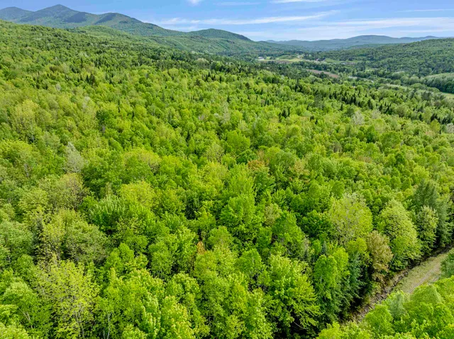 $79,500 | Lot 9 Off Us Route 3, North Stratford, NH 03590