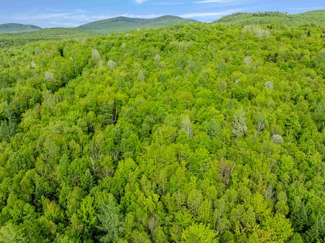 $79,500 | Lot 9 Off Us Route 3, North Stratford, NH 03590