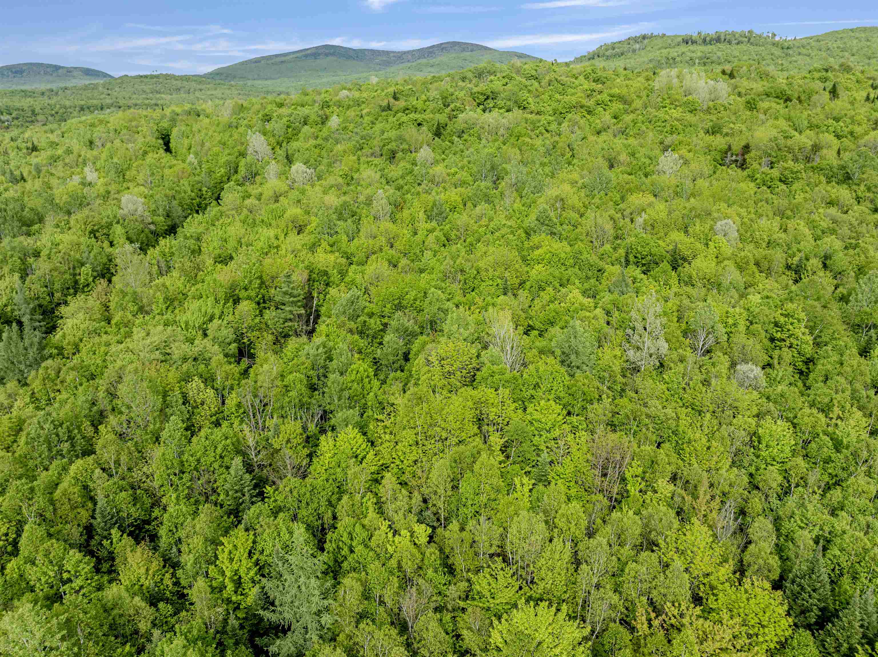 Lot 9 Off Us Route 3 North Stratford, NH 03590 - Photo 5 of 17