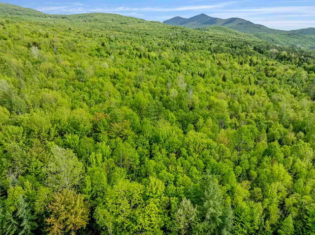 $79,500 | Lot 9 Off Us Route 3, North Stratford, NH 03590