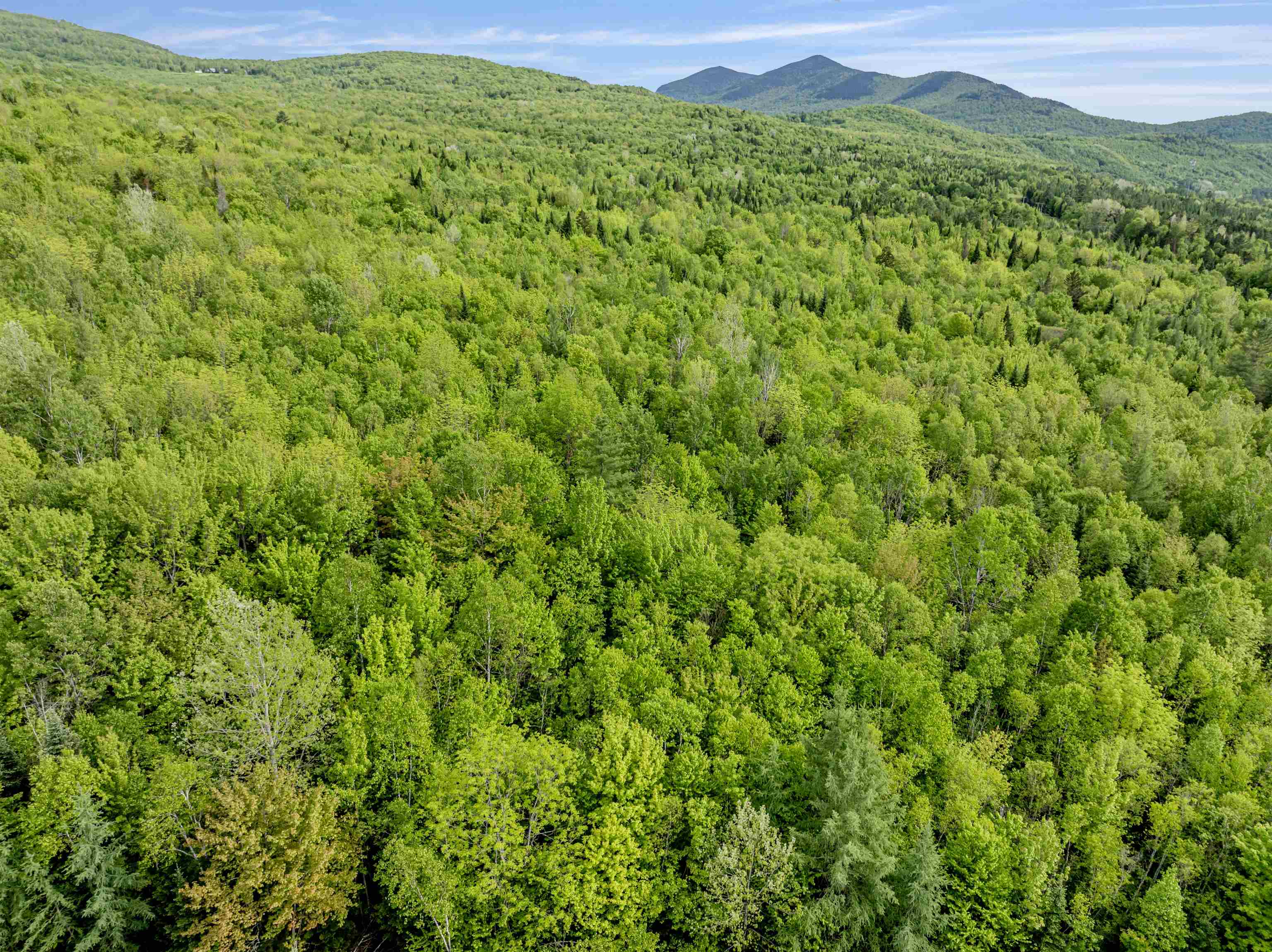 Lot 9 Off Us Route 3 North Stratford, NH 03590 - Photo 6 of 17