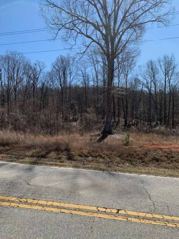 0 Campbell Road Mauldin, SC 29662 - Photo 1 of 2 Gallery Image 1