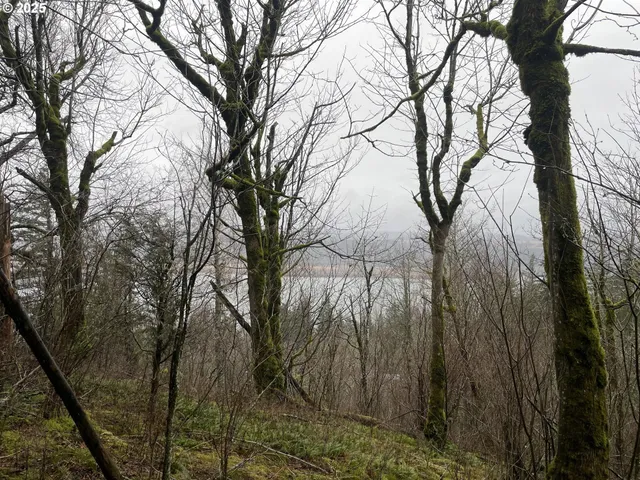 $75,000 | Northeast Clara Smith Road, Corbett, OR 97019