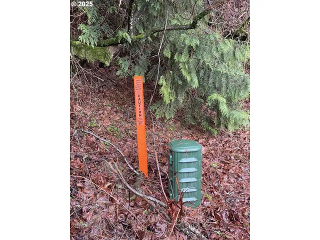 $75,000 | Northeast Clara Smith Road, Corbett, OR 97019