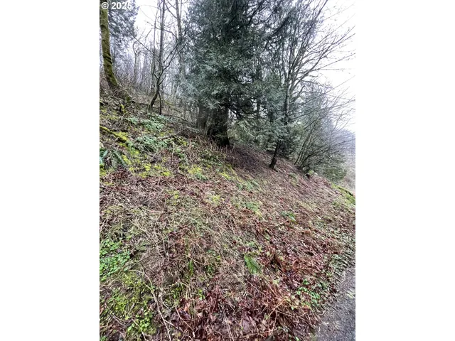 $75,000 | Northeast Clara Smith Road, Corbett, OR 97019