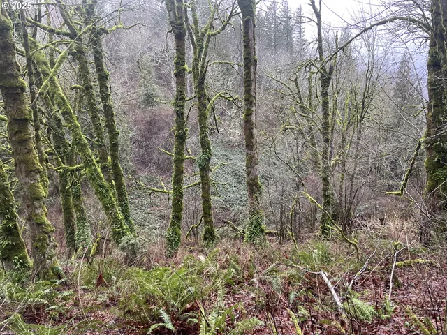 $75,000 | Northeast Clara Smith Road, Corbett, OR 97019