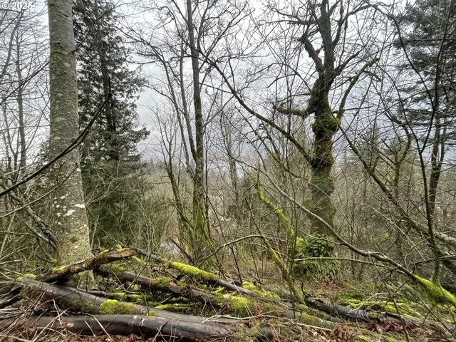 $75,000 | Northeast Clara Smith Road, Corbett, OR 97019