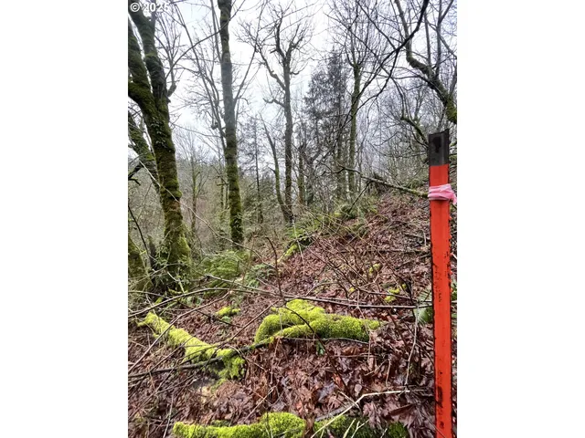 $75,000 | Northeast Clara Smith Road, Corbett, OR 97019