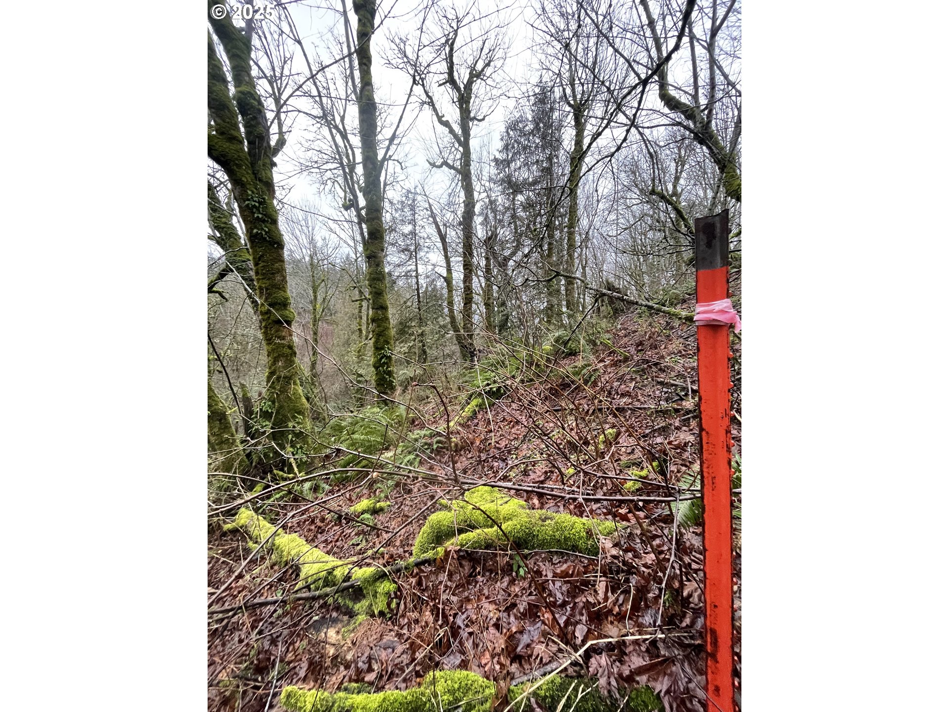 Northeast Clara Smith Road Corbett, OR 97019 - Photo 15 of 26