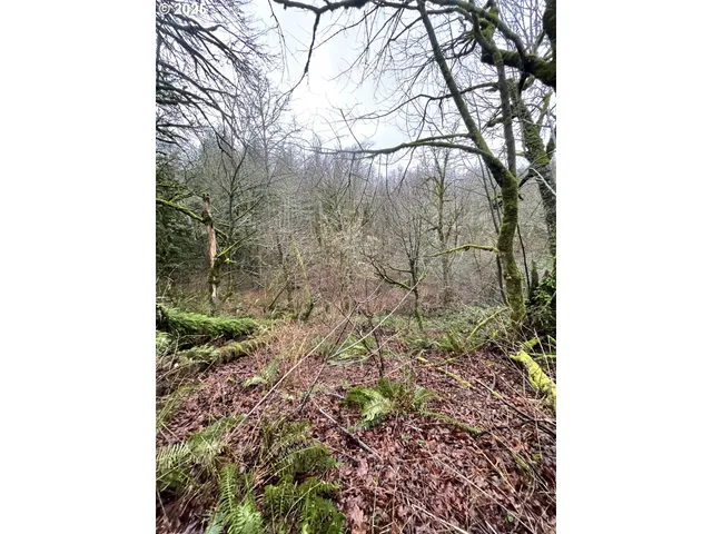 $75,000 | Northeast Clara Smith Road, Corbett, OR 97019