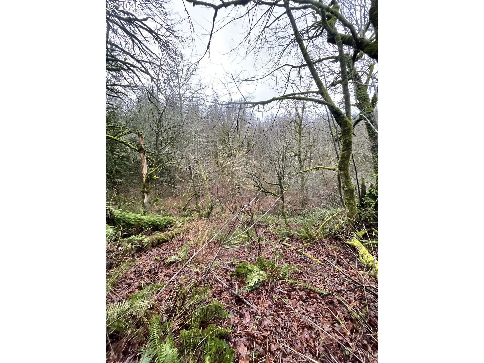 Northeast Clara Smith Road Corbett, OR 97019 - Photo 16 of 26