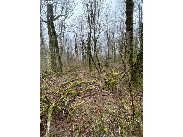 $75,000 | Northeast Clara Smith Road, Corbett, OR 97019