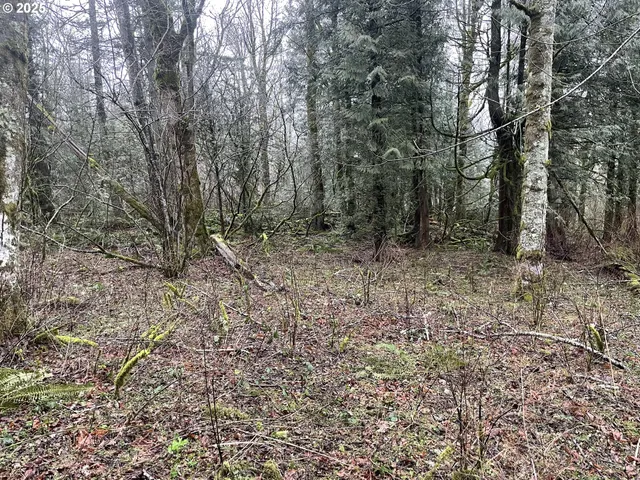 $75,000 | Northeast Clara Smith Road, Corbett, OR 97019