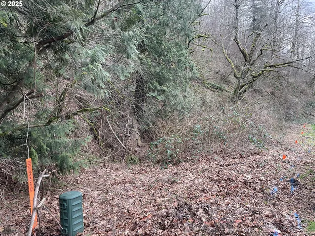 $75,000 | Northeast Clara Smith Road, Corbett, OR 97019