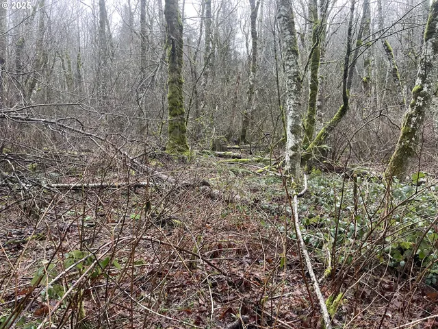 $75,000 | Northeast Clara Smith Road, Corbett, OR 97019