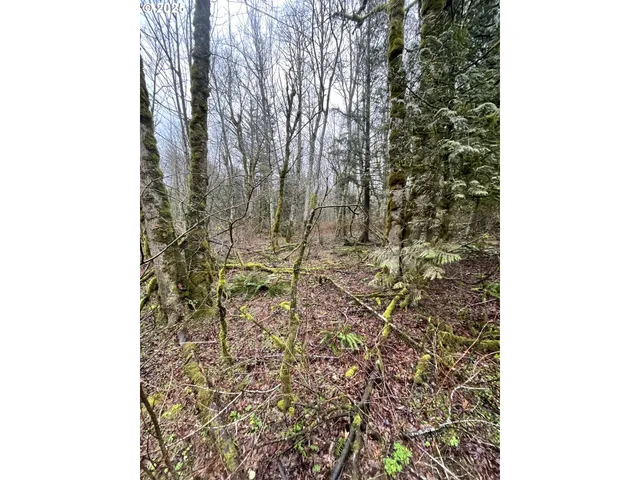 $75,000 | Northeast Clara Smith Road, Corbett, OR 97019