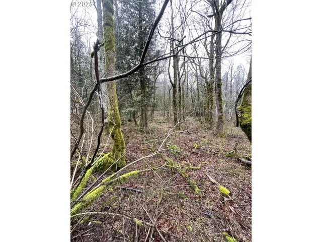 $75,000 | Northeast Clara Smith Road, Corbett, OR 97019