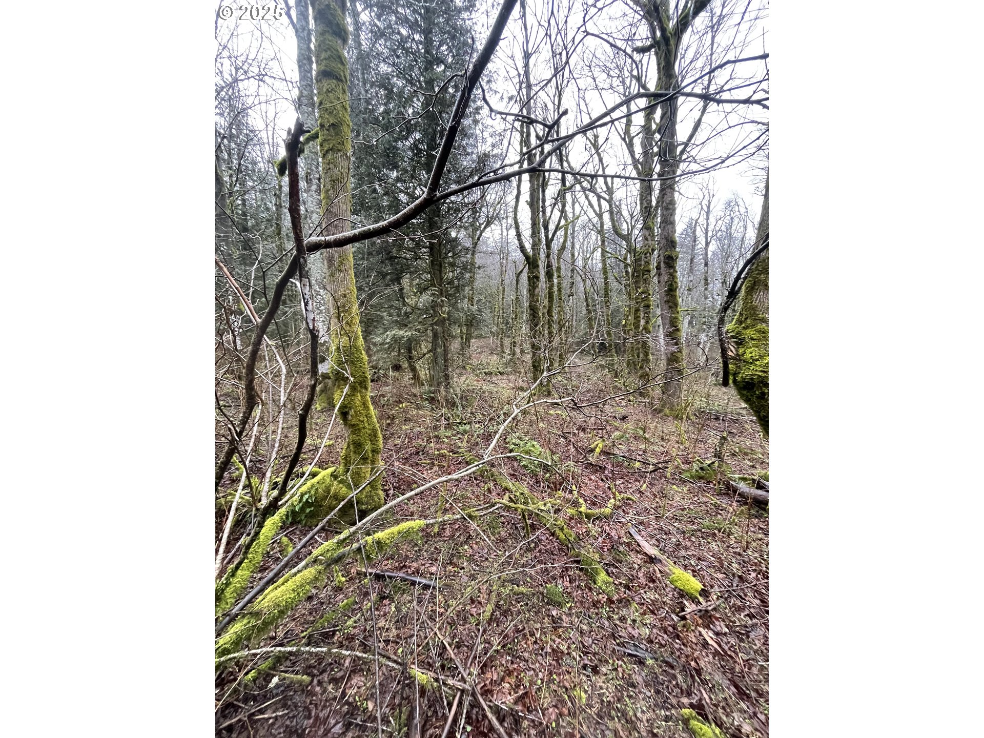 Northeast Clara Smith Road Corbett, OR 97019 - Photo 23 of 26