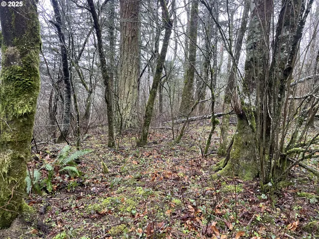 $75,000 | Northeast Clara Smith Road, Corbett, OR 97019