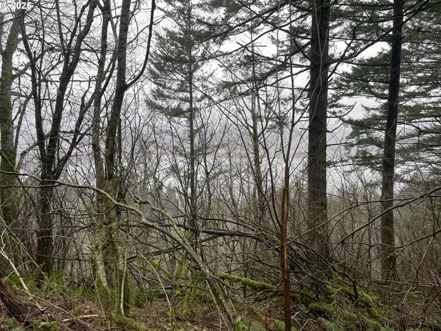 $75,000 | Northeast Clara Smith Road, Corbett, OR 97019
