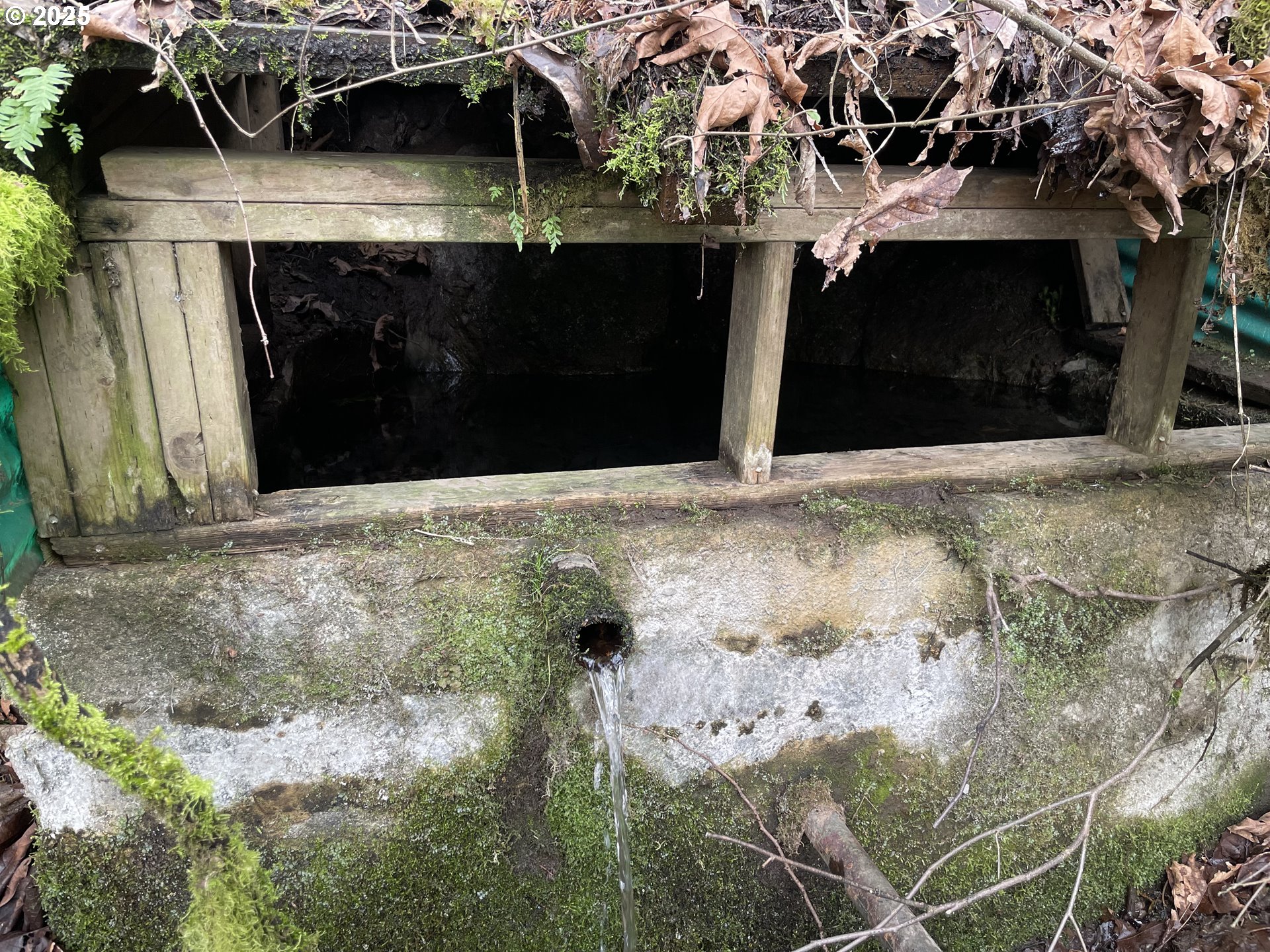 Northeast Clara Smith Road Corbett, OR 97019 - Photo 3 of 26