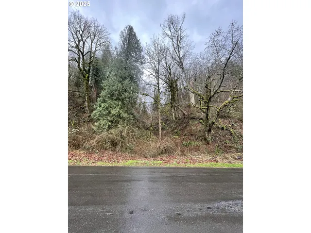 $75,000 | Northeast Clara Smith Road, Corbett, OR 97019