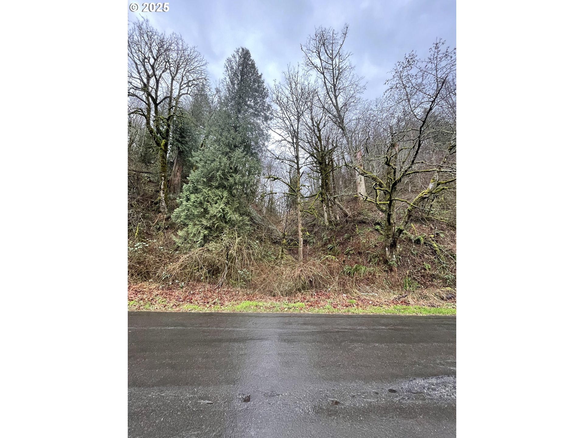 Northeast Clara Smith Road Corbett, OR 97019 - Photo 4 of 26