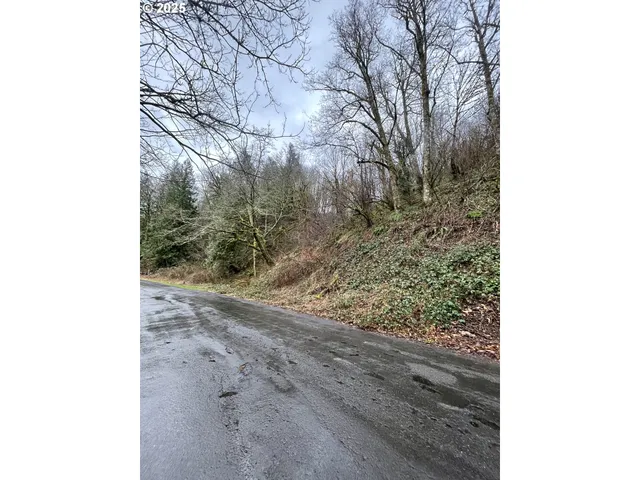 $75,000 | Northeast Clara Smith Road, Corbett, OR 97019