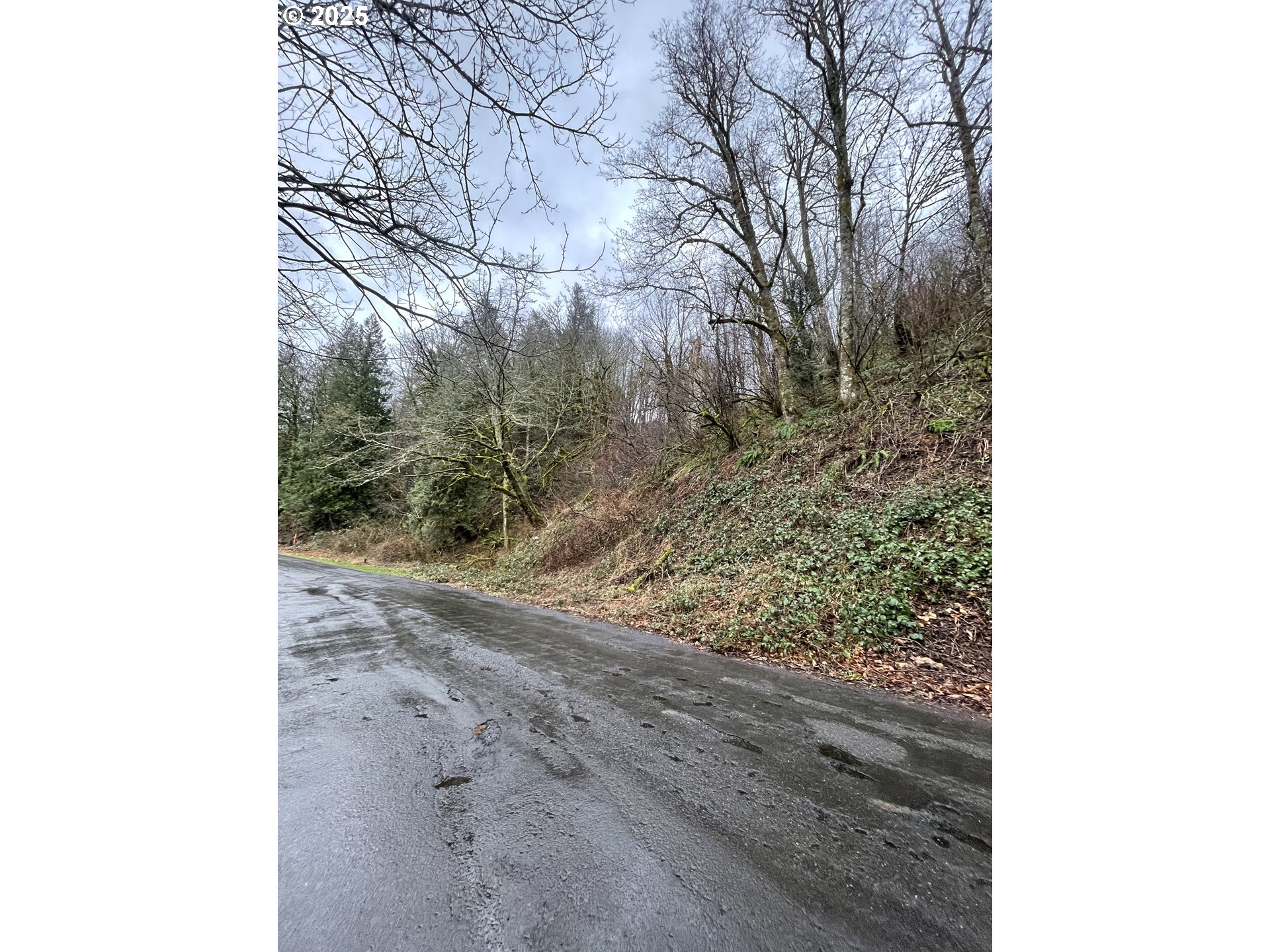 Northeast Clara Smith Road Corbett, OR 97019 - Photo 5 of 26