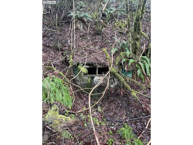 $75,000 | Northeast Clara Smith Road, Corbett, OR 97019