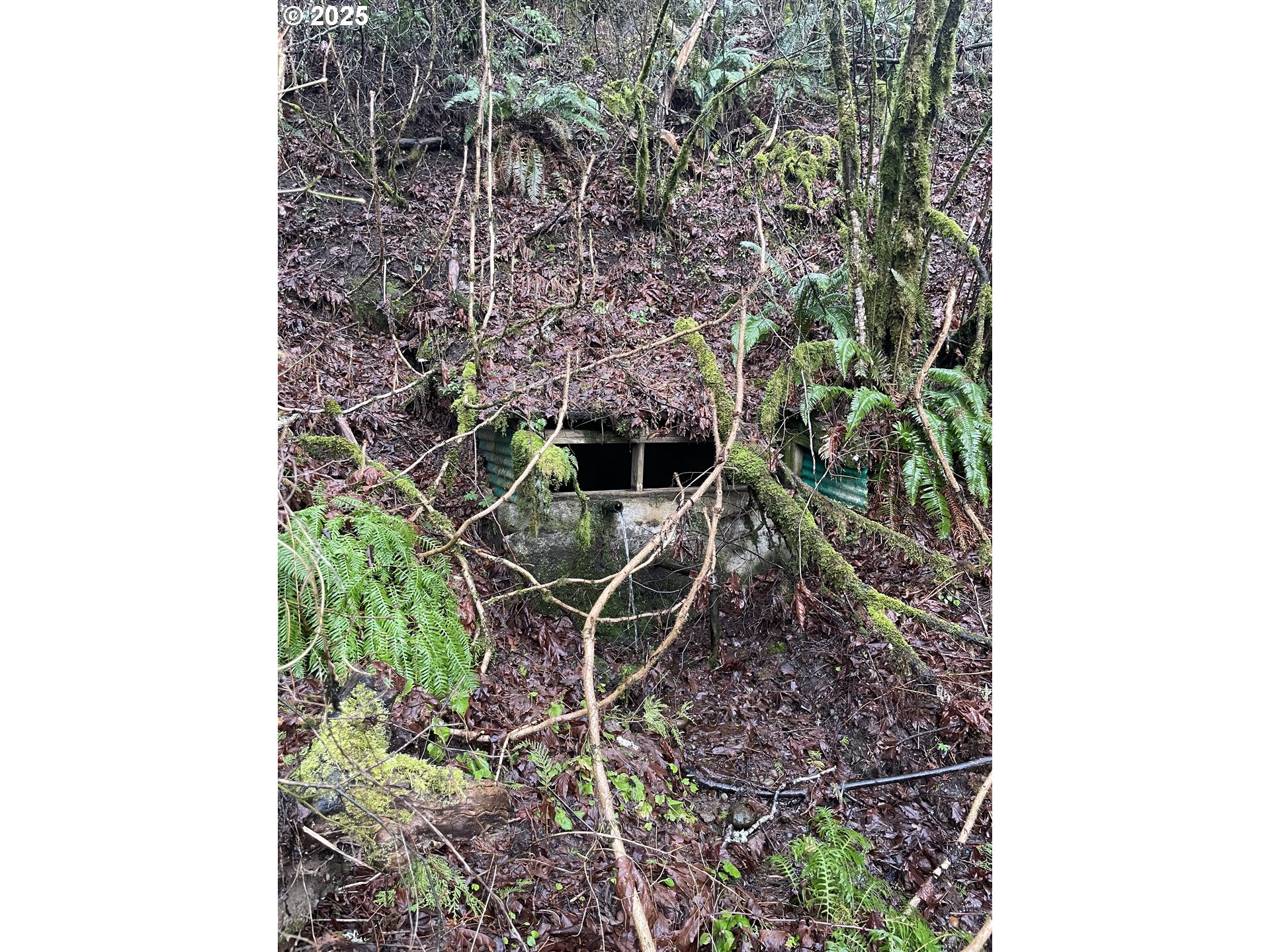 Northeast Clara Smith Road Corbett, OR 97019 - Photo 6 of 26