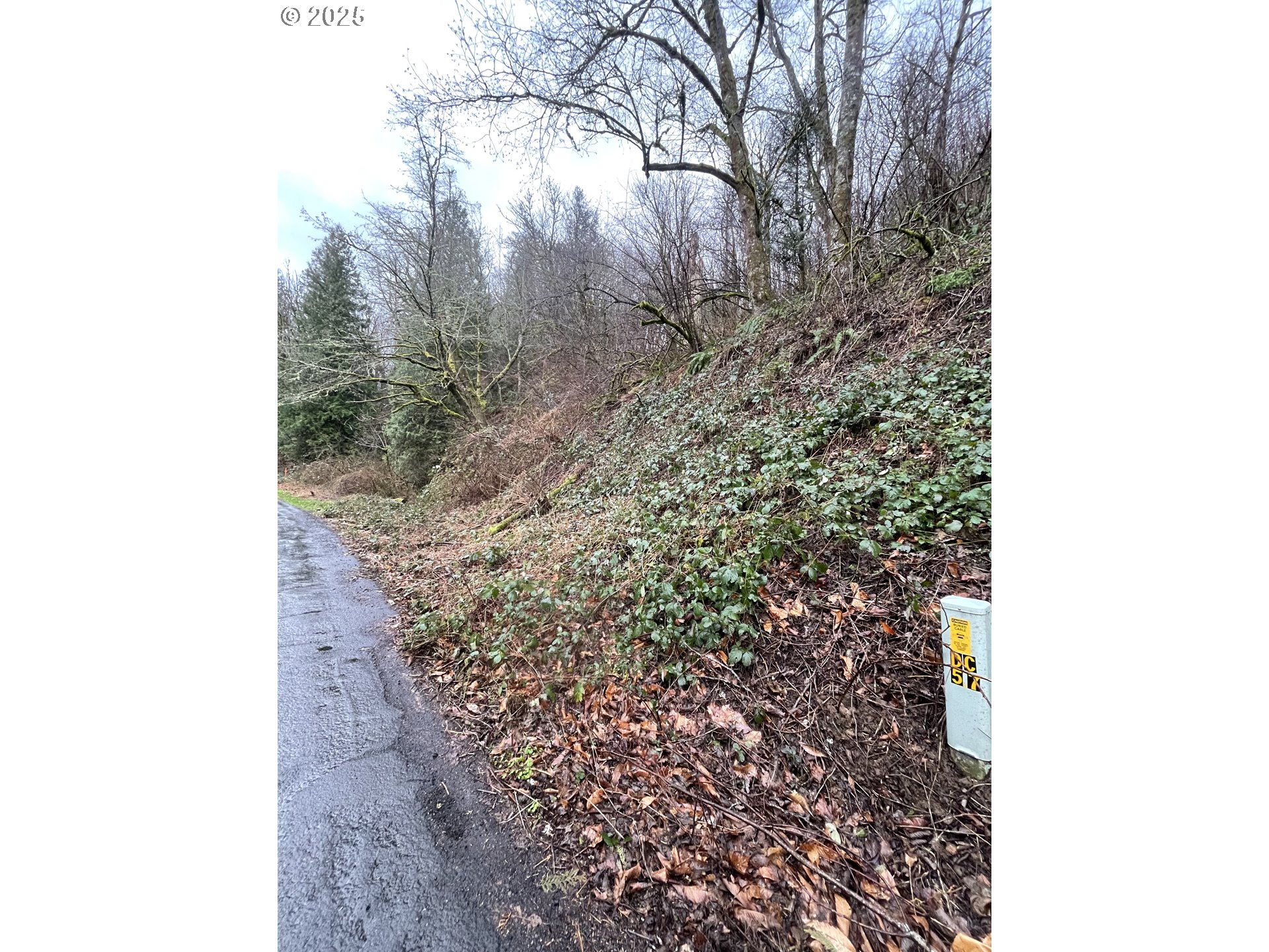 Northeast Clara Smith Road Corbett, OR 97019 - Photo 7 of 26