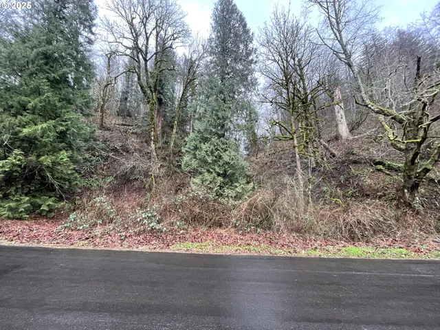 $75,000 | Northeast Clara Smith Road, Corbett, OR 97019