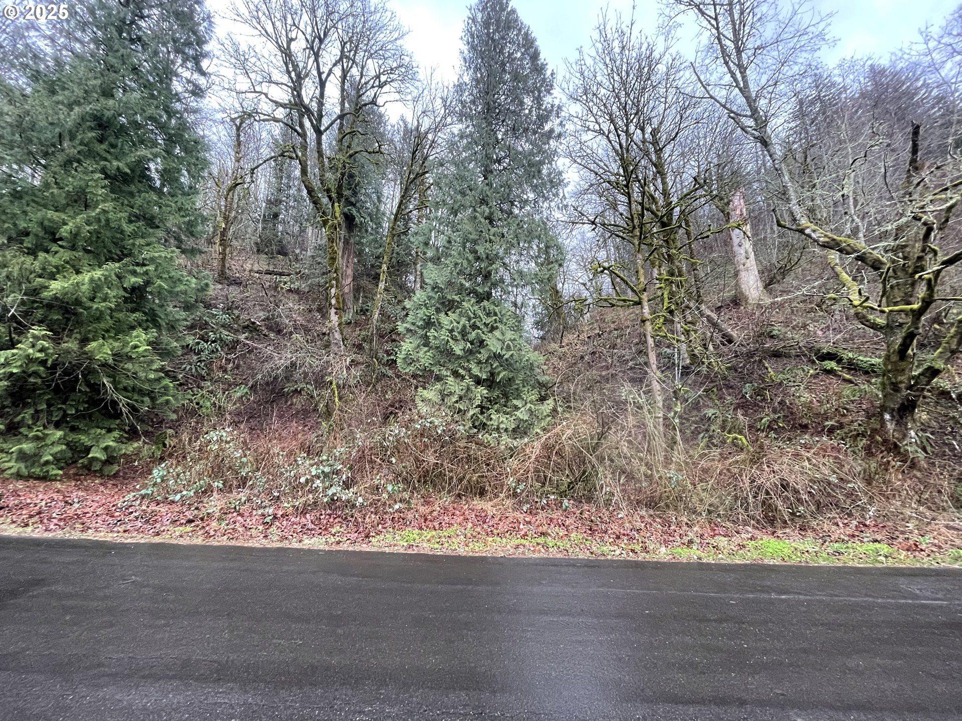 Northeast Clara Smith Road Corbett, OR 97019 - Photo 8 of 26