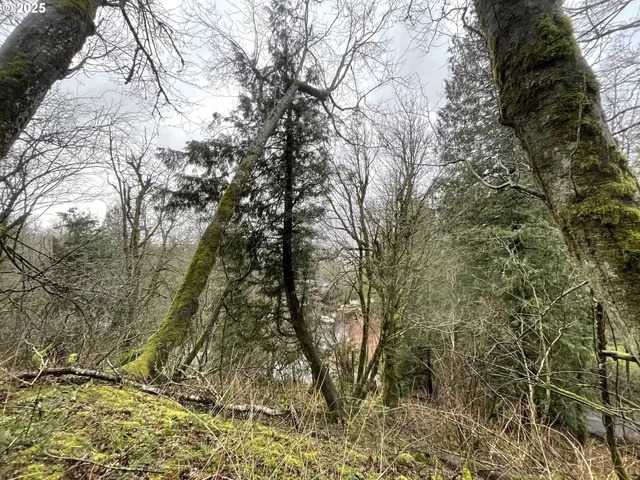 $75,000 | Northeast Clara Smith Road, Corbett, OR 97019