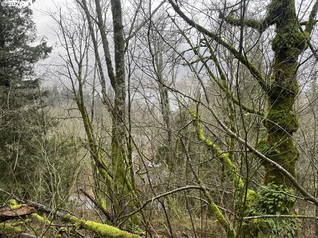 $75,000 | Northeast Clara Smith Road, Corbett, OR 97019