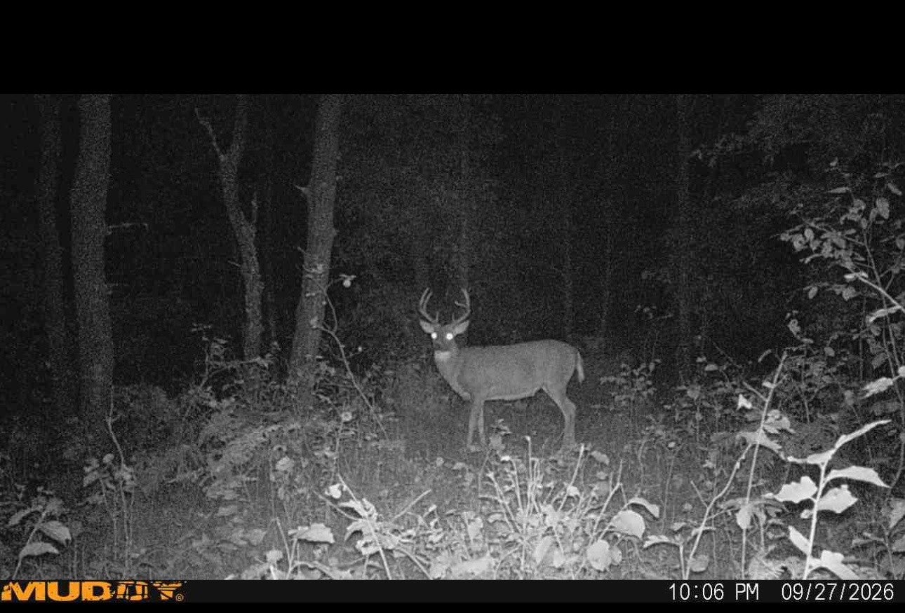 N5820 Ross Road Trego, WI 54888 - Photo 33 of 34 Gallery Image 33