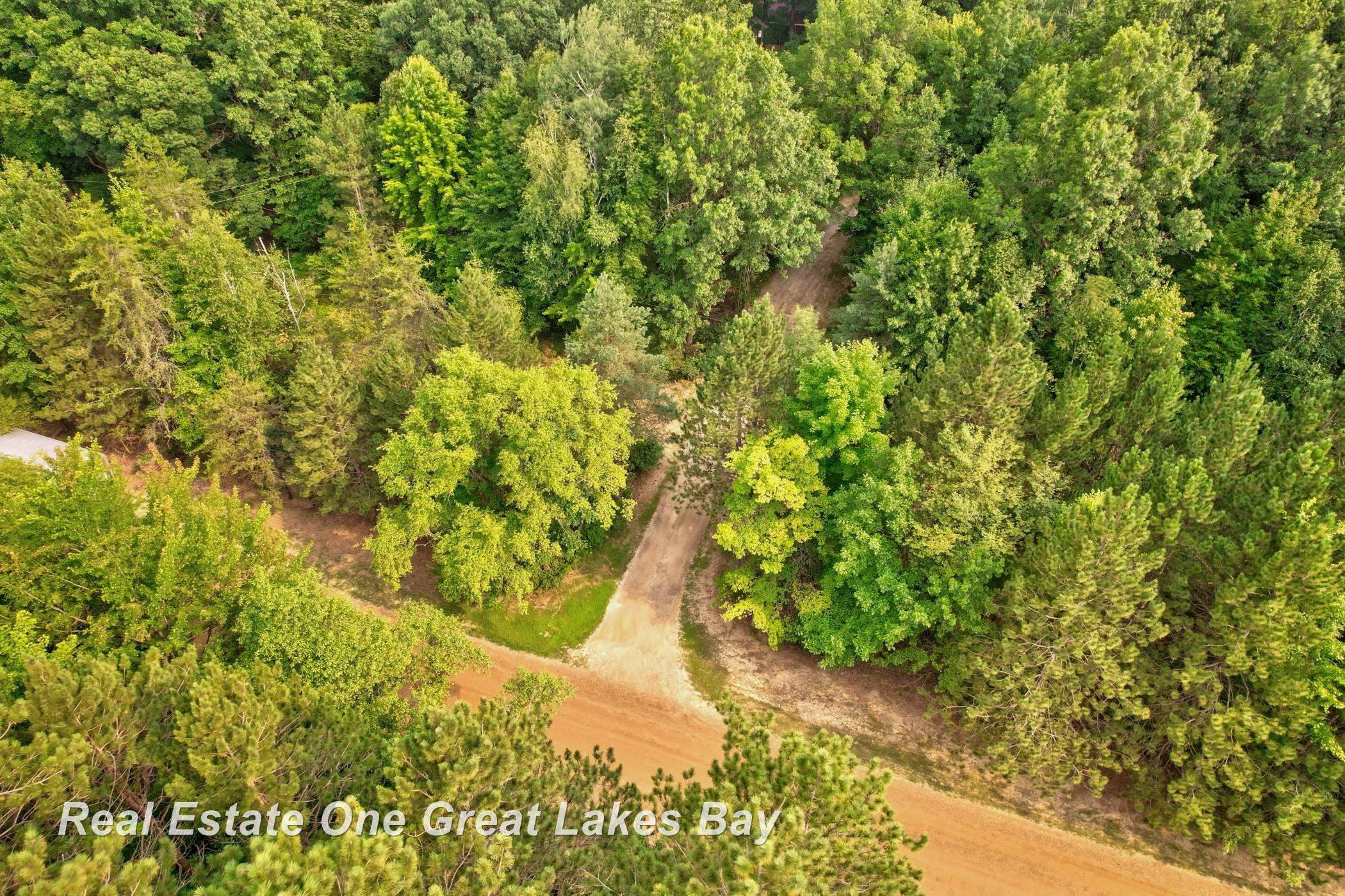 17950 West Schroeder Road Brant, MI 48614 - Photo 3 of 69 Gallery Image 3