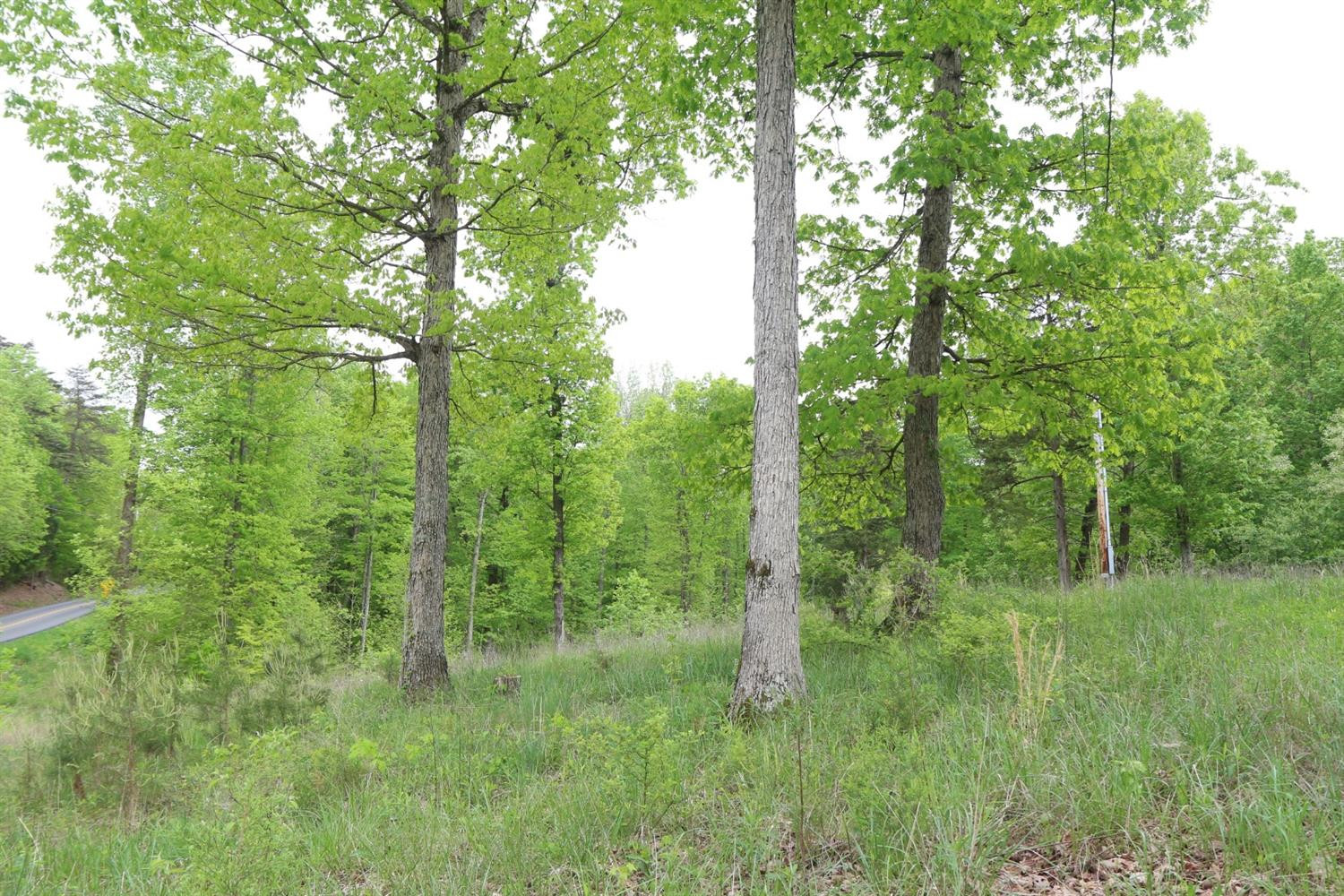 7 Balltown Road Bardstown, KY 40004 - Photo 2 of 8 Listing Photo