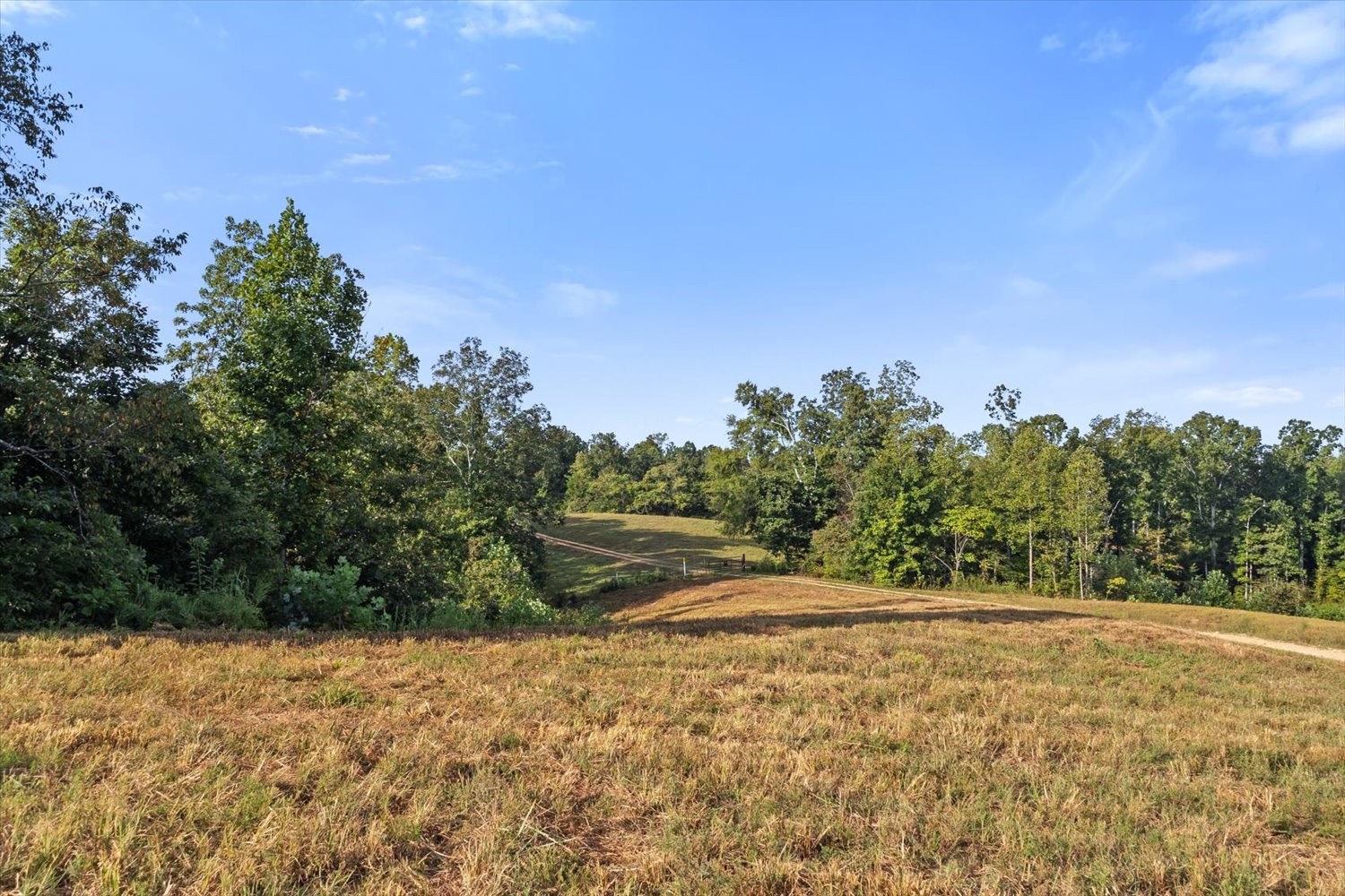 0 Kro Hollow Road Hohenwald, TN 38462 - Photo 11 of 35 Gallery Image 11