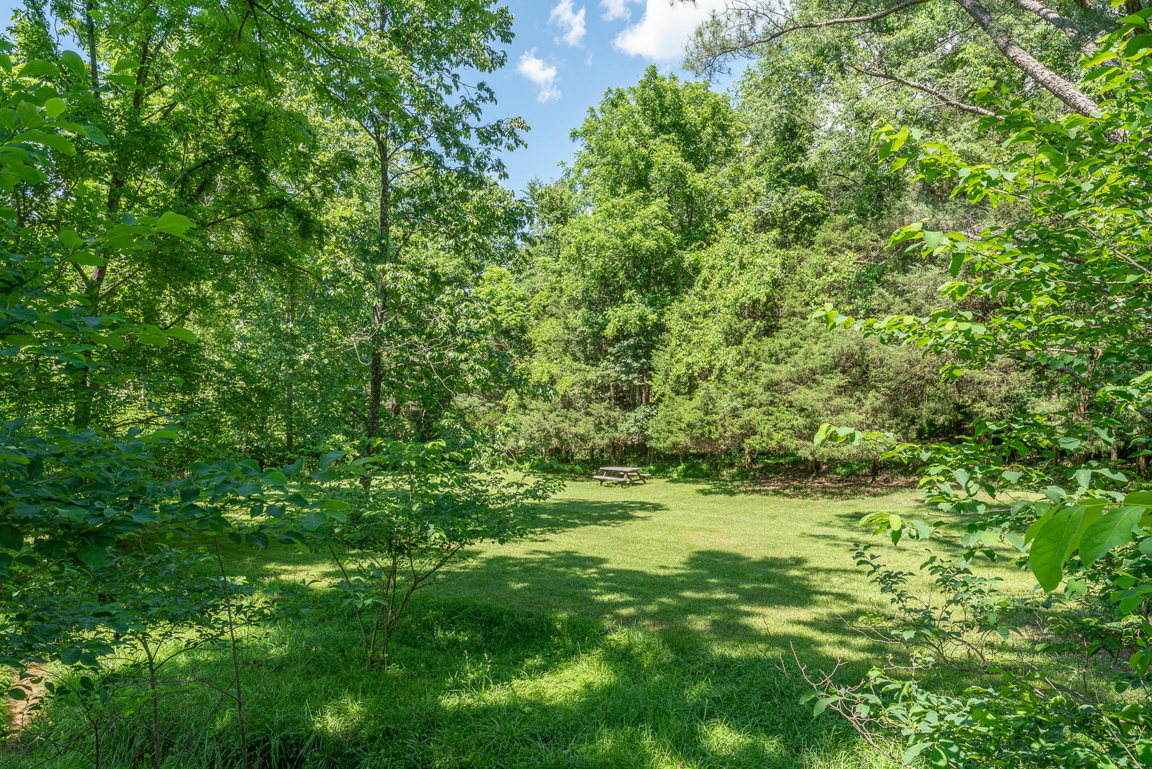 538 Sprinkle Road Fincastle, VA 24090 - Photo 75 of 87 Stream on property