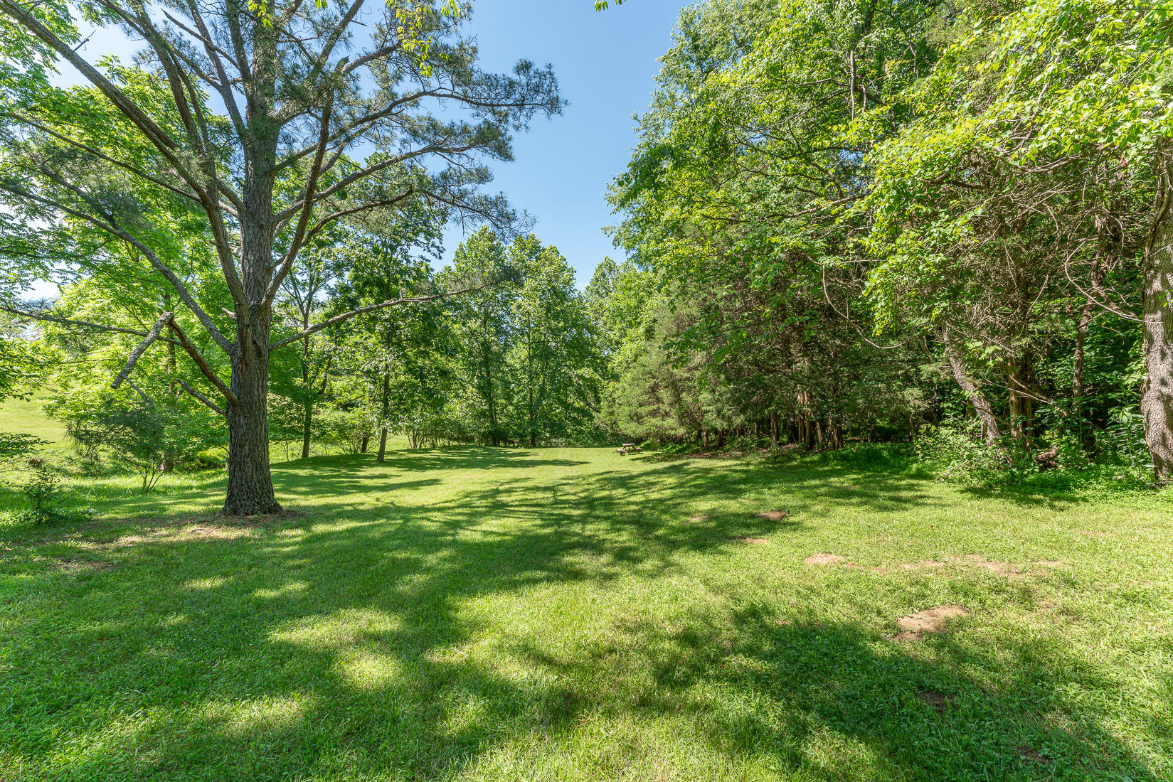 538 Sprinkle Road Fincastle, VA 24090 - Photo 76 of 87 Land view