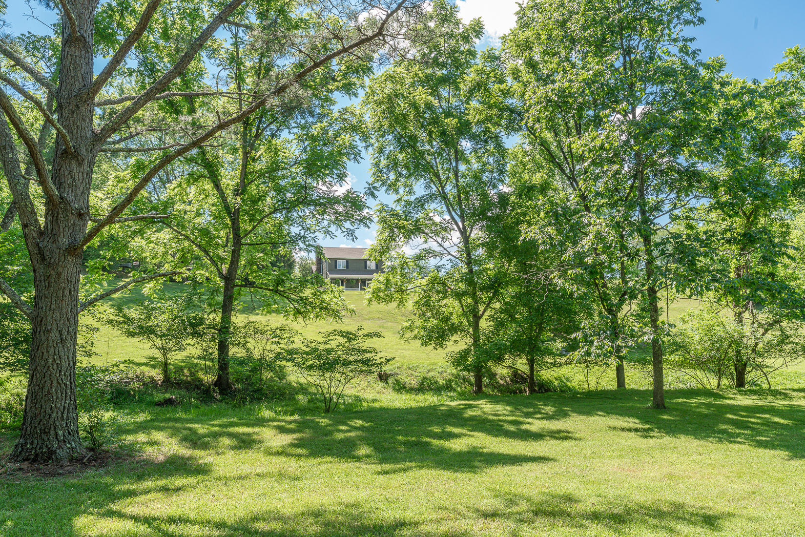538 Sprinkle Road Fincastle, VA 24090 - Photo 77 of 87 Land view