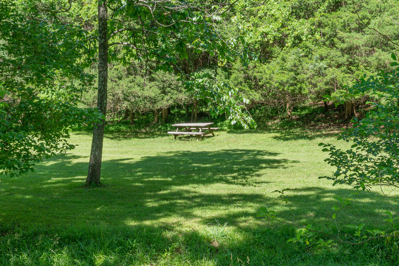 538 Sprinkle Road Fincastle, VA 24090 - Photo 78 of 87 Land view