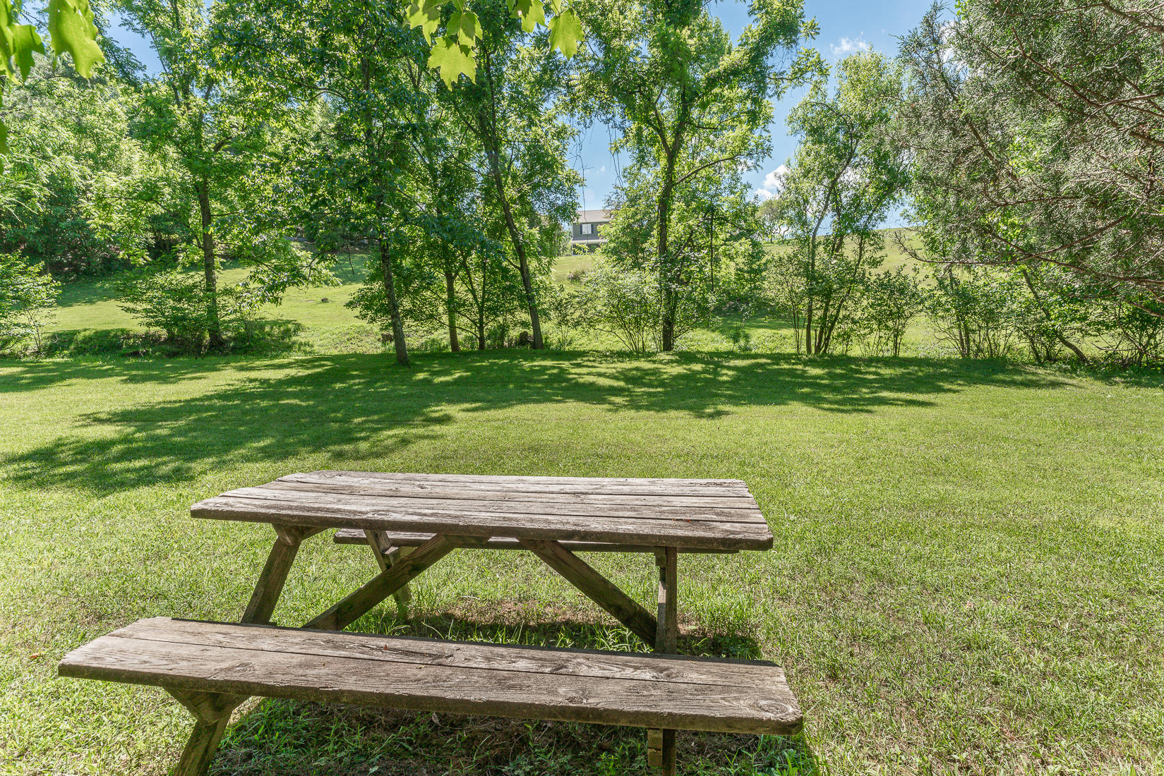 538 Sprinkle Road Fincastle, VA 24090 - Photo 79 of 87 Land view