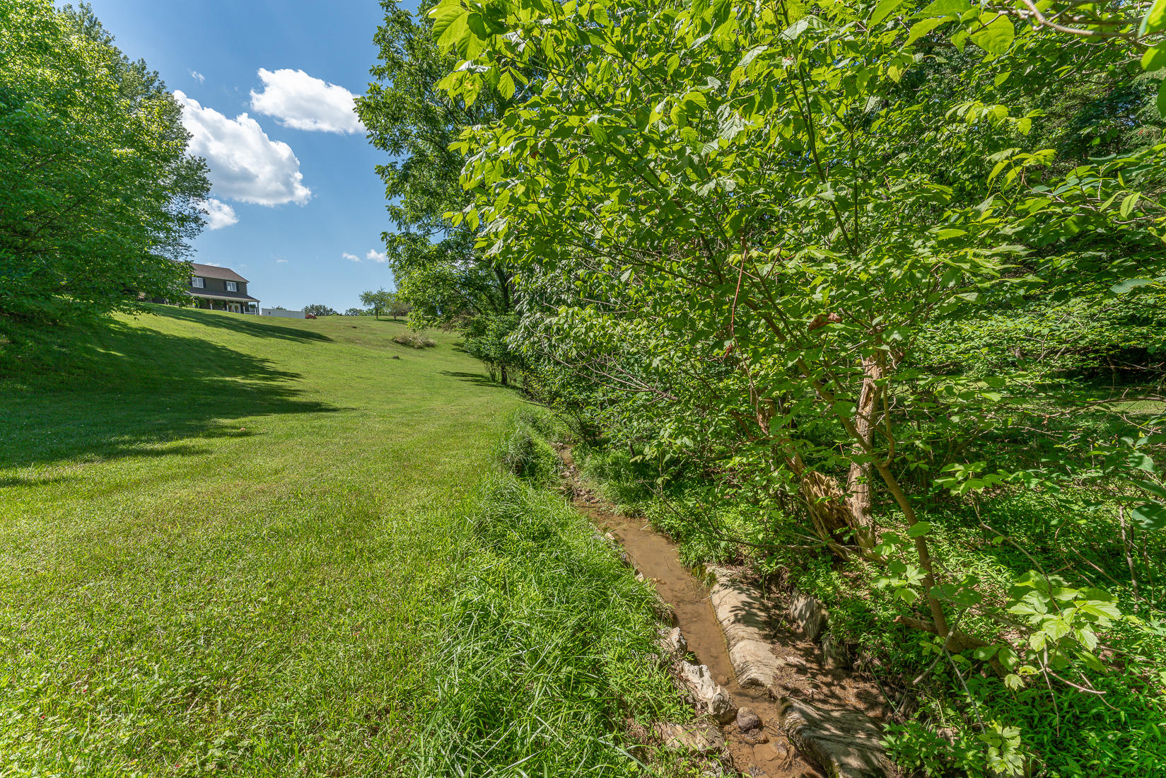 538 Sprinkle Road Fincastle, VA 24090 - Photo 80 of 87 Land view