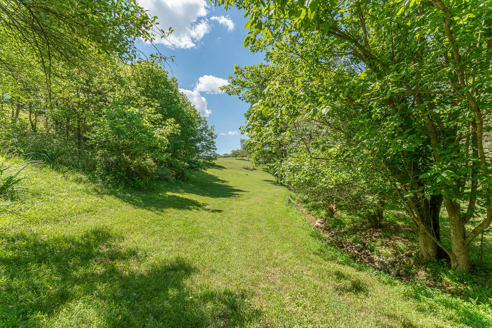 538 Sprinkle Road Fincastle, VA 24090 - Photo 81 of 87 Land view